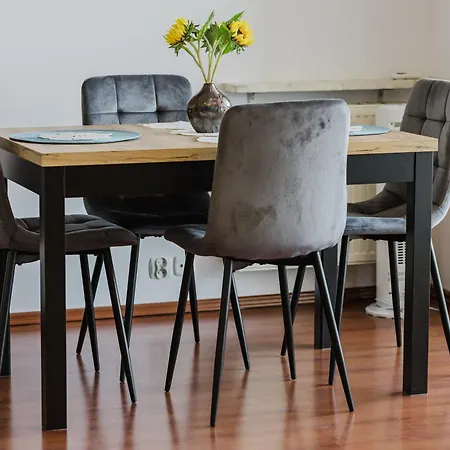 Quiet Charm Apartment Poznan